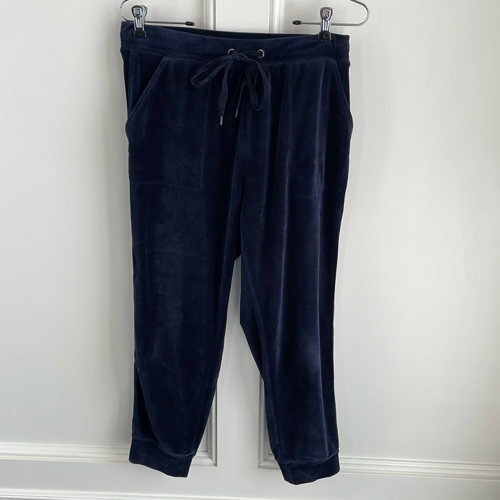 Anthropologie velvet Jogger pants